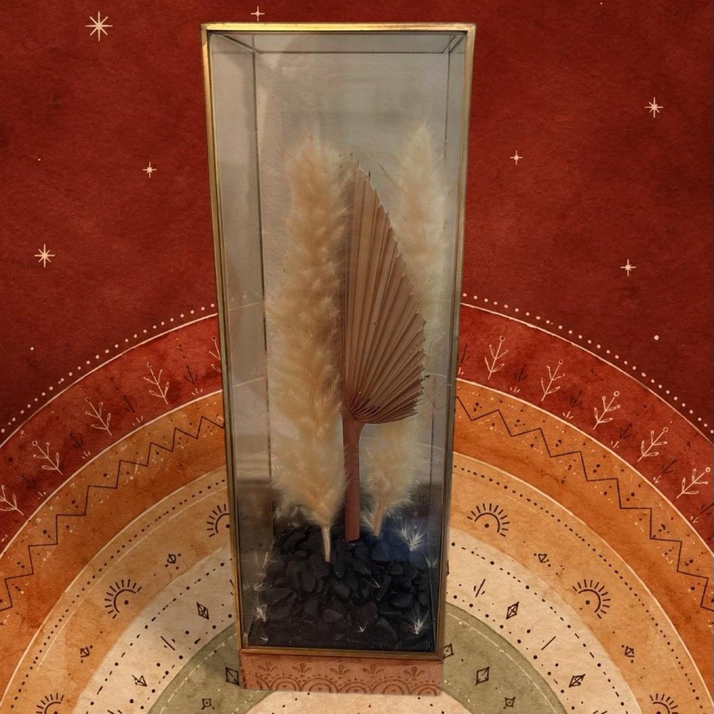 Pampas grass in glass box 12" tall